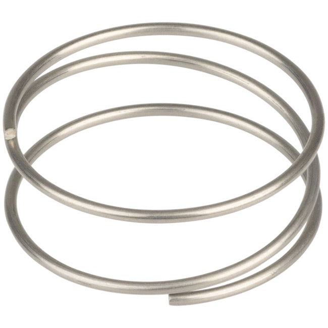 DT Swiss Star Ratchet Spring