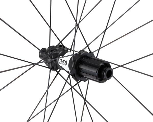 Alpinist CL II 700c Rear